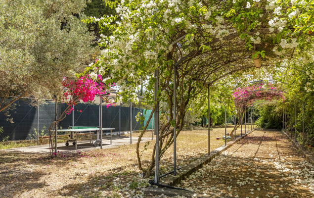 Cicladi Amorgos - Photo 25