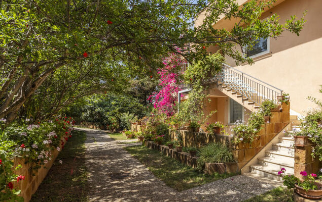 Cicladi Naxos - Photo 20