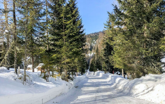 Chalet Amsel - Photo 16