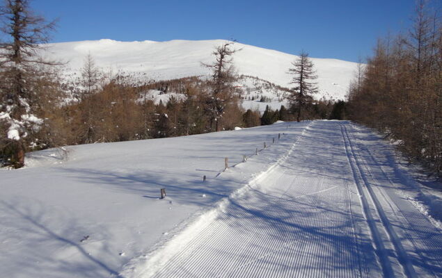 Chalet Amsel - Photo 17